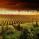 Elijah Wagner - Relaxing Farm Ambience Pt 7