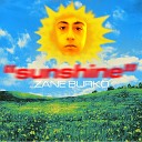 Zane Burko - Sunshine