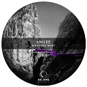 Anicee - What You Want Original Mix