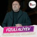 Fizuli Aliyev - mr m Xo G lmis n