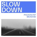 Phlocalyst M e a d o w - Slow Down