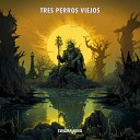 Tres Perros Viejos - Time Traveller