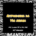 DJ Andrex Mc Mn MC Luana SP - Ritmadinha da V a Negra