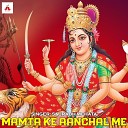 Saurabh Mehata - Mamta Ke Aanchal Me