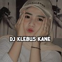 Kadik - DJ Klebus Slowed Kane