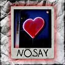 STESHOVSKY - NOSAY
