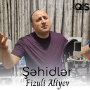 Fizuli Aliyev - hidler