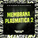 Mc Gw Mc Magrinho Mc Vuk Vuk feat DJ Derek XX - Membrana Plastmatica 2