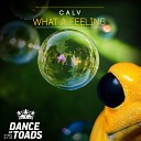 CALV UK - What A Feeling Radio Edit