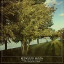 Redwood Moon feat Bardi Johannsson Beta Ey - The End of the World