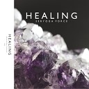 Seryoga Force - Healing Original Mix