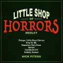 Nick Pitera - Little Shop of Horrors Medley Prologue Little Shop of Horrors Grow For Me Somewhere That s Green Dentist Feed Me Git It…