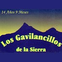 Los Gavilancillos de La Sierra - Son Tus Ojos Verdes