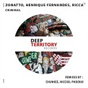 Zonatto Henrique Fernandes Ricca - Criminal Original Mix
