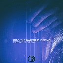 Drone Florida - Into the Darkness Drone Ep 15
