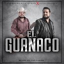 Fernando R os Roman - El Guanaco