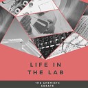 The Chemists Create - Lay it