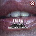 TRIBU Vijay Sofia feat Calixte - Sweet Disposition Leandro da Silva Remix