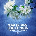Nora En Pure Sons Of Maria - Uruguay EDX s Dubai Skyline Remix