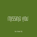 Inaa Dj - Missing you