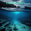 Caercilcarn - Chillwave Chronicle