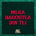 Mc Gw MC JOHN JB DJ Negritto - Mega Dagostea Din Tei