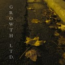 Growth Ltd - Wage Slaves