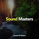 Sounds Of Nature - Water Stream