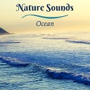 Wonderful Life Sounds - Across the Ocean