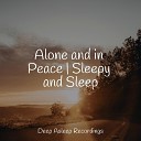 Relaxing Sleep Sound Deep Sleep Music Delta Binaural 432 Hz Relaxing Sleep… - Rain Drops