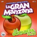Marimba Orquesta La Gran Manzana - Mix Jos Jos Lo Que No Fu No Ser a Esa Cuarenta y Veinte 40 y 20 Lo…
