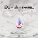 Darwish Migel - Dropping Drops Original Mix