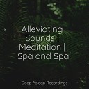 Relax Meditation Sleep Ambient Forest reiki… - The End of Today