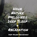 Alpha Waves Exam Study Classical Music Orchestra Healing Sounds for Deep Sleep and… - Alone in the Nebulae