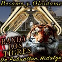 Banda Los Tigres De Pahuatlan Hidalgo - Sobre las Olas