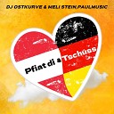 DJ Ostkurve Meli Stein PaulMusic - Pfiat di Tsch ss Radio Mix