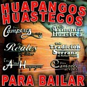 huapangos huastecos - El Fandanguito