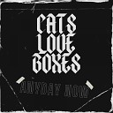 Cats Love Boxes - The Answer Is Love