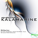 Artur Salizar Frozen Ray - Kalamarine Peter Sawland Remix