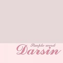 Darsin - Простое Слово