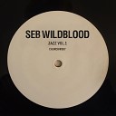 Seb Wildblood - Seal of Approval Medlar Remix
