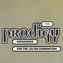 The Prodigy 80 - Everybody In The Place
