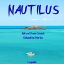 Nautilus - Fresh Waves and Birds