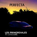 Los primordiales feat CORTICOIDEX - Perfecta Cover