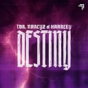 TBR, Narcyz, Haarley - Destiny