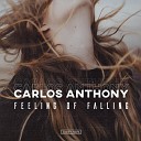 Carlos Anthony - Feeling of Falling