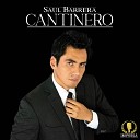Saul Barrera - Casas de Madera