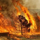 Геннадий Трофимов и детский… - Лесные пожары