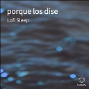 Lofi Sleep - Porque Los Dise