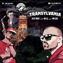 Alex Mica feat W Y D Mr Sax - Transylvania
